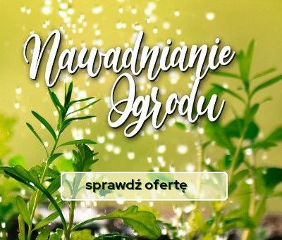 Nawadnianie ogrodu - oferta sklepu | Blog Sklepogrodniczy.pl