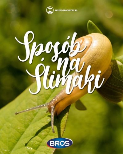 Bros na ślimaki - zwalczanie szkodników | Blog Sklepogrodniczy.pl