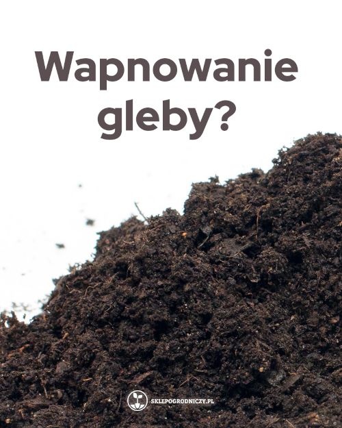 Wapnowanie gleby w ogrodzie | Blog Sklepogrodniczy.pl