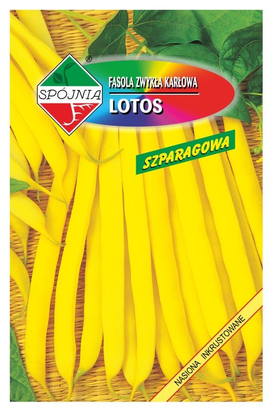 Fasola ż&oacute;łta szparagowa Lotos 50g Sp&oacute;jnia