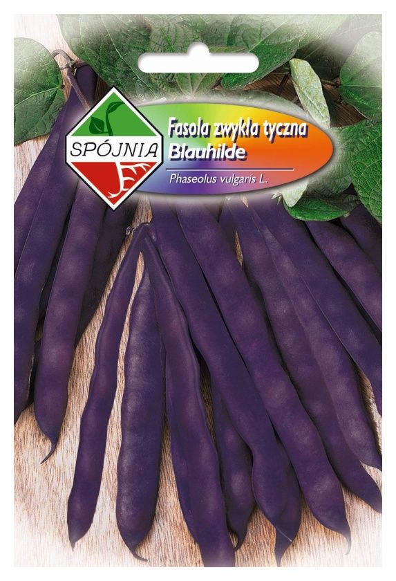 Fasola zwykła tyczna Blauhilde 10g Sp&oacute;jnia