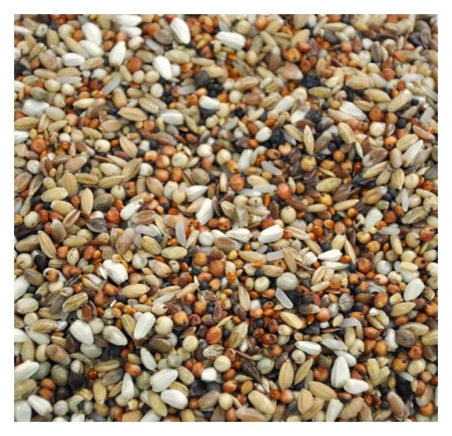Karma dietetyczna super 20kg Flornas