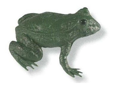 Żaba - imitacja zwierzęca GW7331 Greenimill