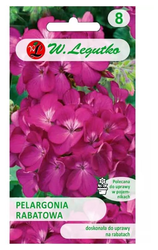 Pelargonia rabatowa Gama F1 fioletowa 0,03g Legutko