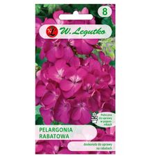 Pelargonia rabatowa Gama F1 fioletowa 0,03g Legutko
