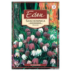 Szachownica mix 5 sztuk Eden