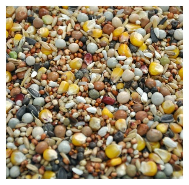 Karma dla gołębi bez pszenicy lotowa 25kg Flornas