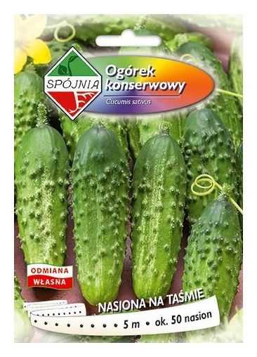 Ogórek Śremianin F1 Taśma 5m Spójnia