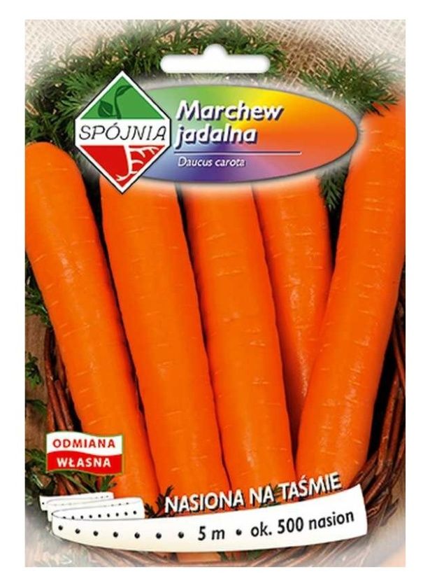 Marchew Amsterdam 3 5m Taśma Spójnia