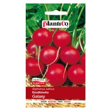 Rzodkiewka Galaxy 100g Plantico