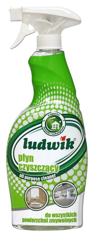 Płyn czyszczący all purpose 750 ml Ludwik