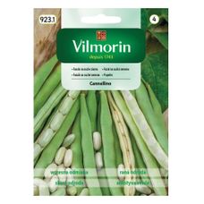 Fasola na suche ziarno Cannellino 40g Vilmorin