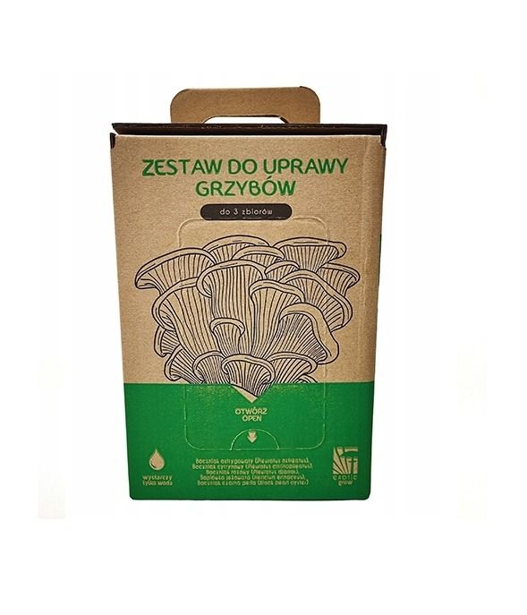 Grzybnia Boczniak ostrygowaty 6litrów Exotic Grow