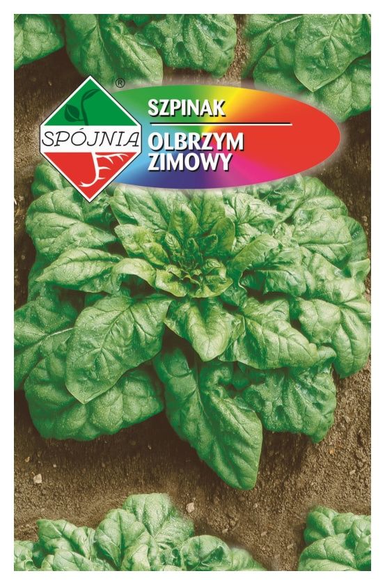 Szpinak Olbrzym Zimowy 20g Spójnia