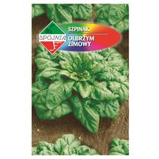 Szpinak Olbrzym Zimowy 20g Spójnia