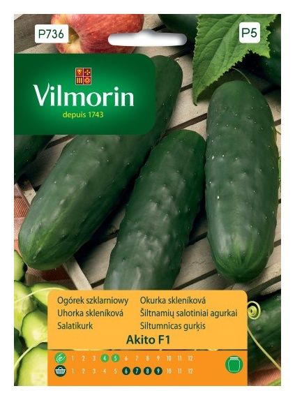 Pomidor Jangcy F1 malinowy szklarniowy 7 nasion Vilmorin