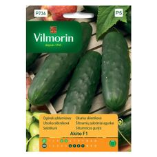 Pomidor Jangcy F1 malinowy szklarniowy 7 nasion Vilmorin