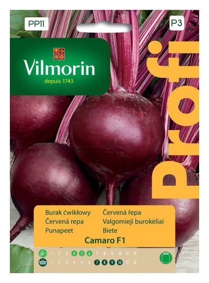 Pomidor Jangcy F1 malinowy szklarniowy 7 nasion Vilmorin