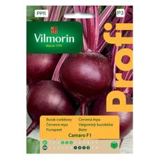 Pomidor Jangcy F1 malinowy szklarniowy 7 nasion Vilmorin