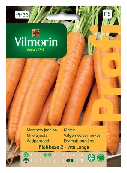 Pomidor Jangcy F1 malinowy szklarniowy 7 nasion Vilmorin