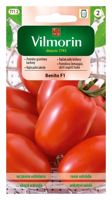 Pomidor Jangcy F1 malinowy szklarniowy 7 nasion Vilmorin