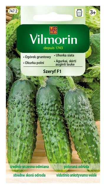 Pomidor Jangcy F1 malinowy szklarniowy 7 nasion Vilmorin