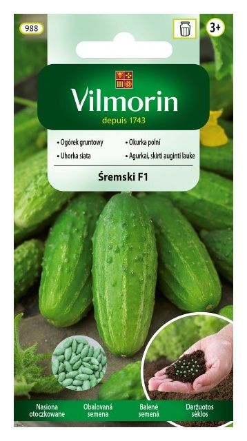 Pomidor Jangcy F1 malinowy szklarniowy 7 nasion Vilmorin
