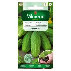 Pomidor Jangcy F1 malinowy szklarniowy 7 nasion Vilmorin