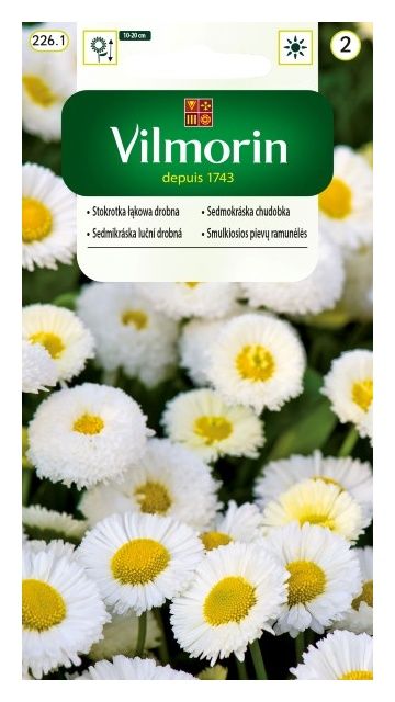 Pomidor Jangcy F1 malinowy szklarniowy 7 nasion Vilmorin
