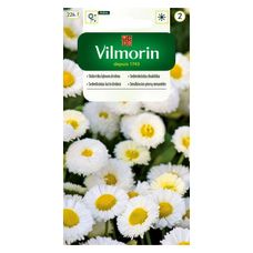 Pomidor Jangcy F1 malinowy szklarniowy 7 nasion Vilmorin