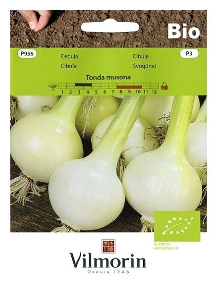 Pomidor Jangcy F1 malinowy szklarniowy 7 nasion Vilmorin