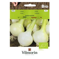 Pomidor Jangcy F1 malinowy szklarniowy 7 nasion Vilmorin