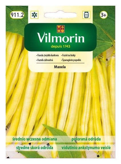 Pomidor Jangcy F1 malinowy szklarniowy 7 nasion Vilmorin
