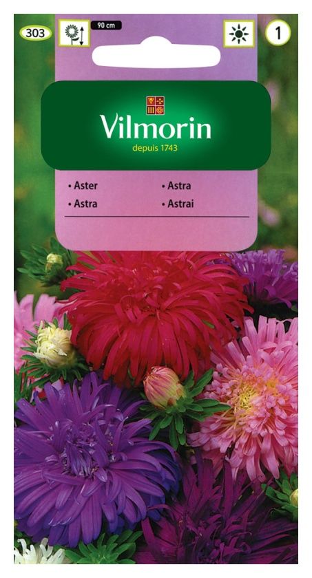 Aster chiński chryzantemowy mieszanka 1g Vilmorin