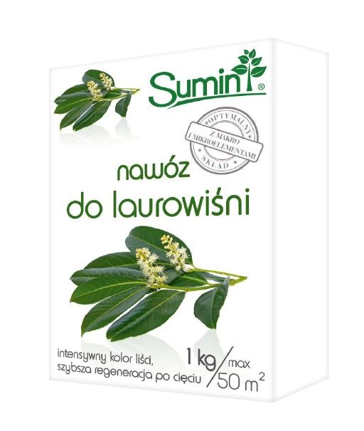 Naw&oacute;z do Laurowiśni Sumin