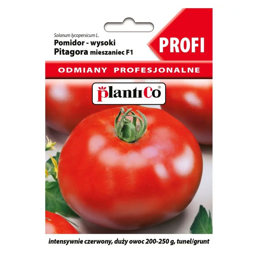 Pomidor Pitagora F1 wysoki Profi 10 sztuk Plantico