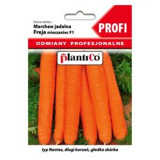 Marchew Freja F1 Profi 3 g PlantiCo