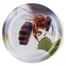 Nakrętka Pszczoła fi 82 mm 6-zaczepowa Topyła