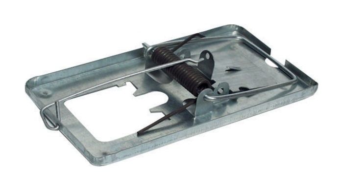 Łapka na szczury metalowa