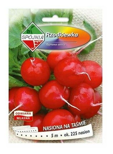 Rzodkiewka Herlo-Era Taśma 5m Spójnia