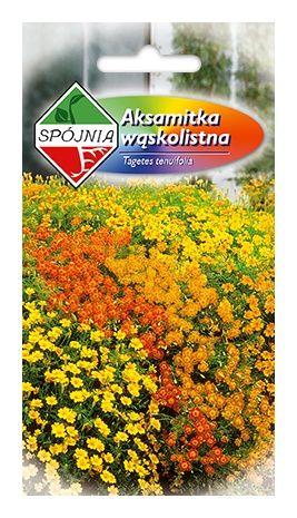 Aksamitka wąskolistna Lulu 0,5g Sp&oacute;jnia