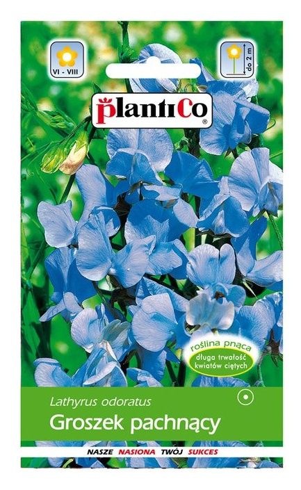 Groszek pachnący jasnoniebieski 2g PlantiCO
