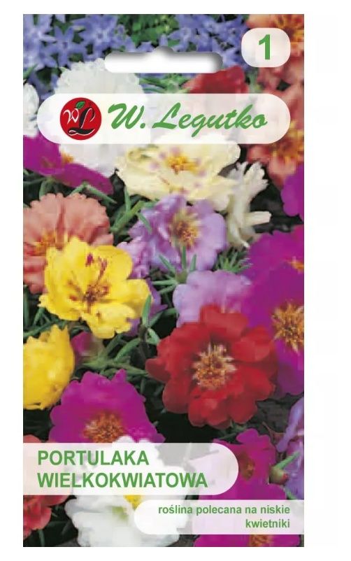 Portulaka wielkokwiatowa mieszanka 0,5g Legutko