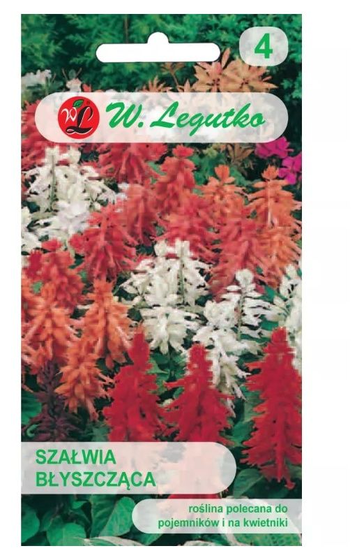 Szałwia błyszcząca mieszanka 0,3g Legutko&nbsp;