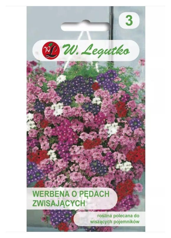 Werbena o pędach zwisających mieszanka 0,3 Legutko
