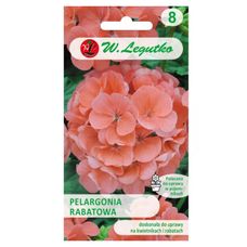 Pelargonia rabatowa Gama F1 łososiowa 0,05g Legutko