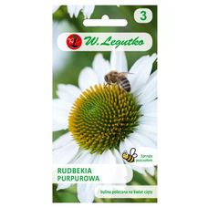 Rudbekia purpurowa - biała 1g Legutko
