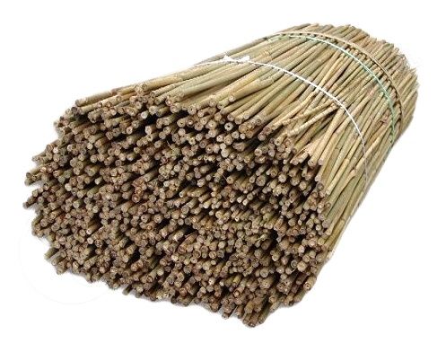 Tyczka bambusowa - 100szt 