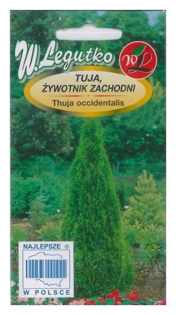 Tuja żywotnik zachodni 0,1g Legutko
