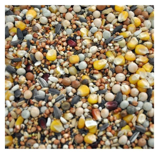 Mieszanka pierzeniowa bez pszenicy 25kg Flornas
